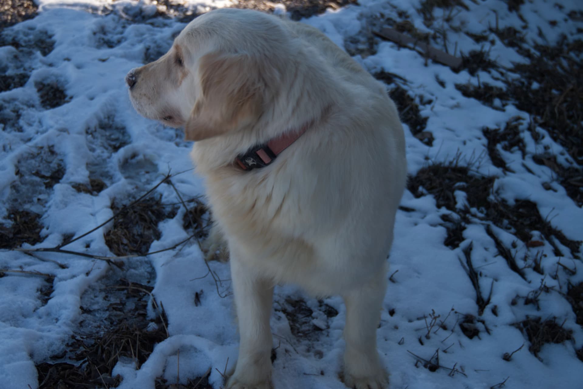 Xylie - Photo 17
